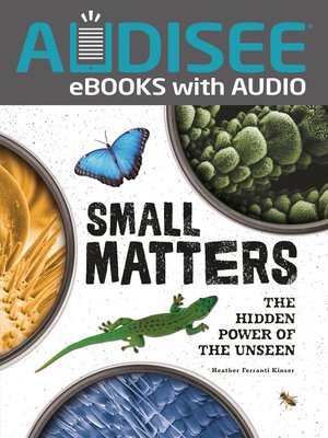 cover image of Small Matters